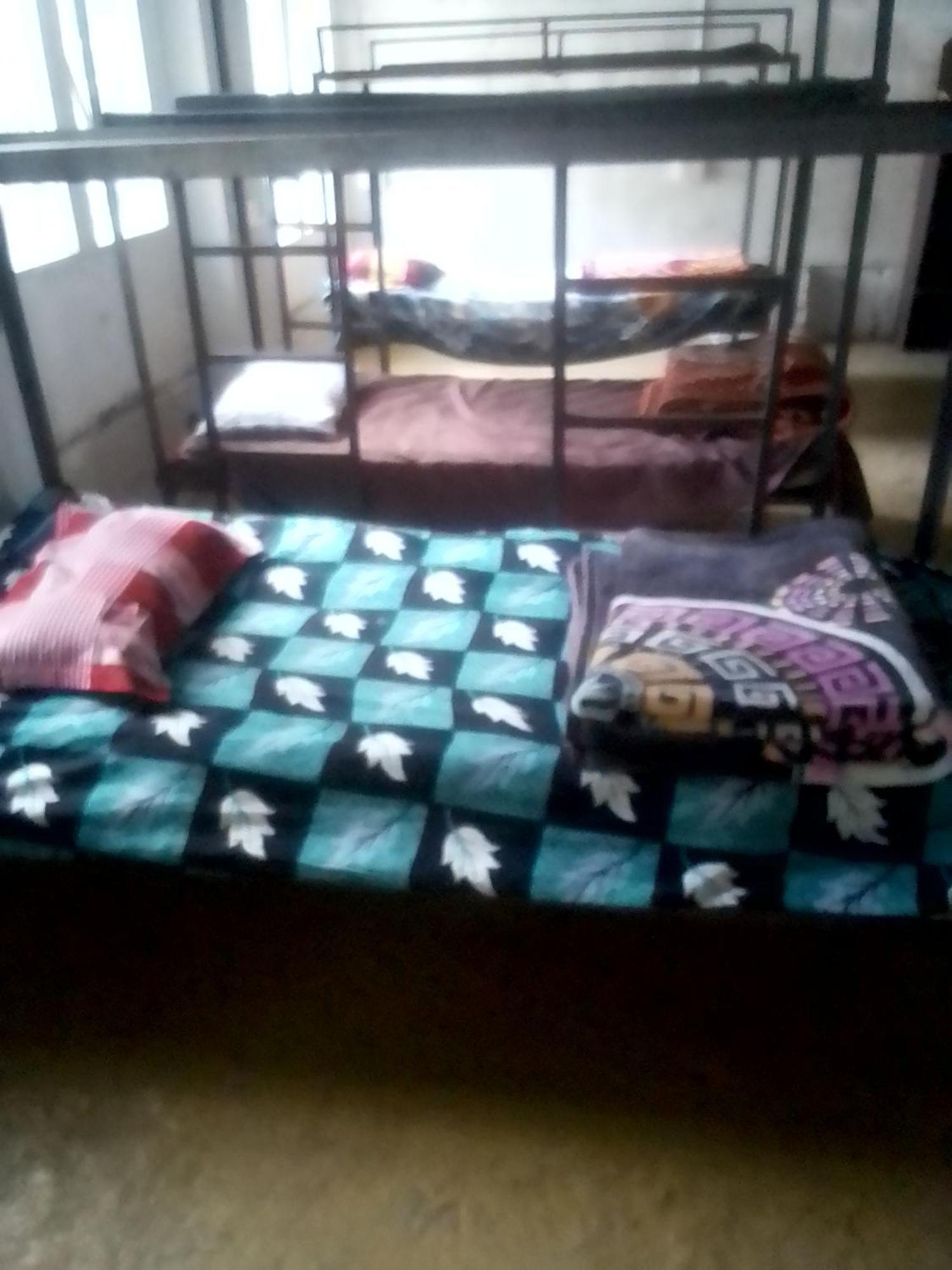 Himalayan Triund Trekking And Mountain View Hostel Dharamszala Kültér fotó