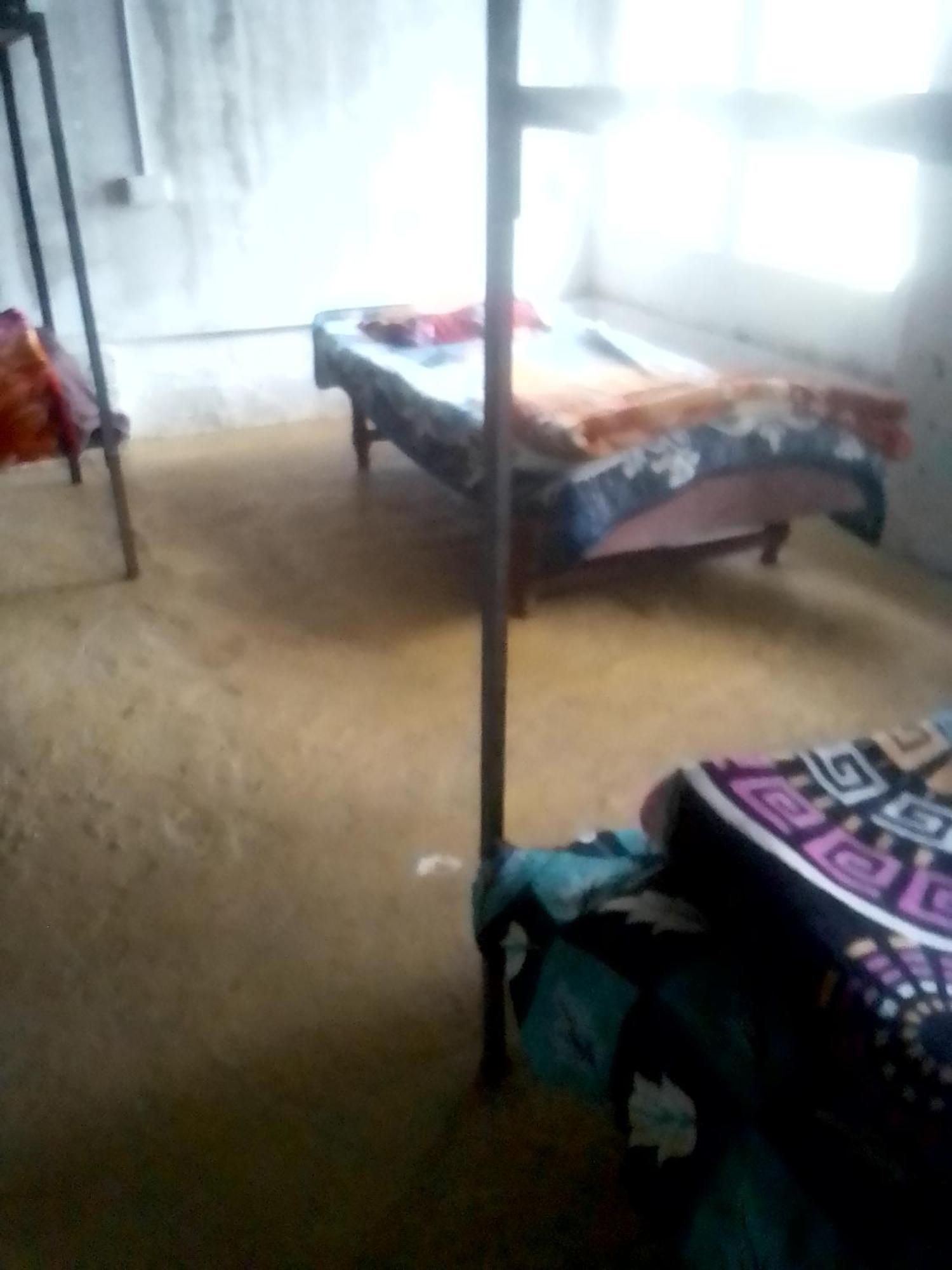Himalayan Triund Trekking And Mountain View Hostel Dharamszala Kültér fotó