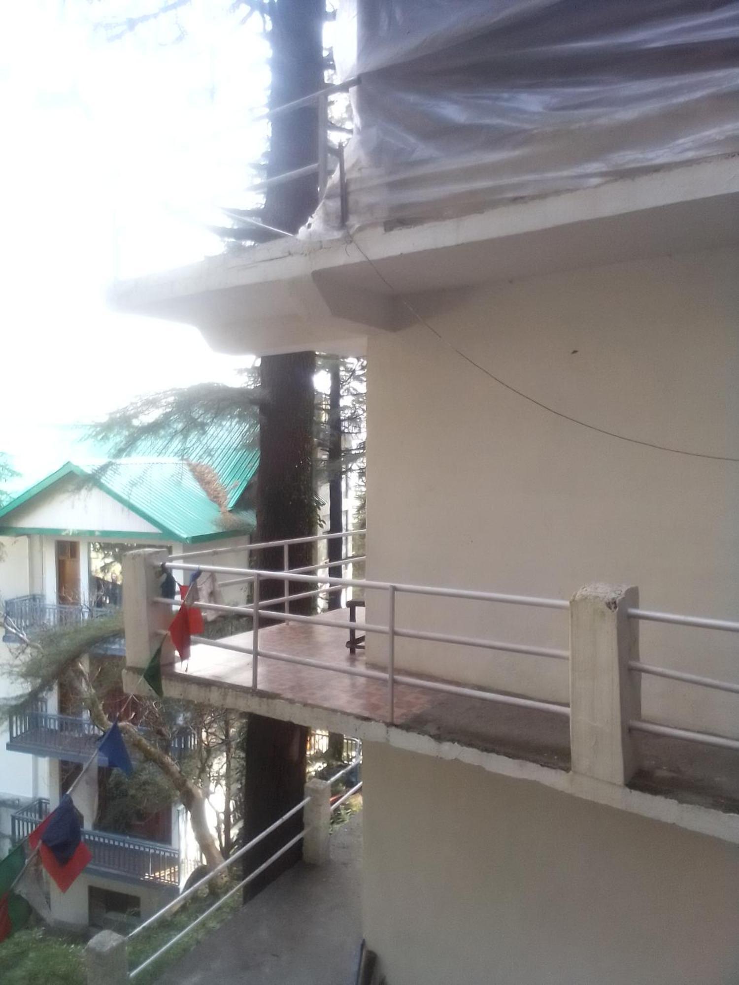 Himalayan Triund Trekking And Mountain View Hostel Dharamszala Kültér fotó