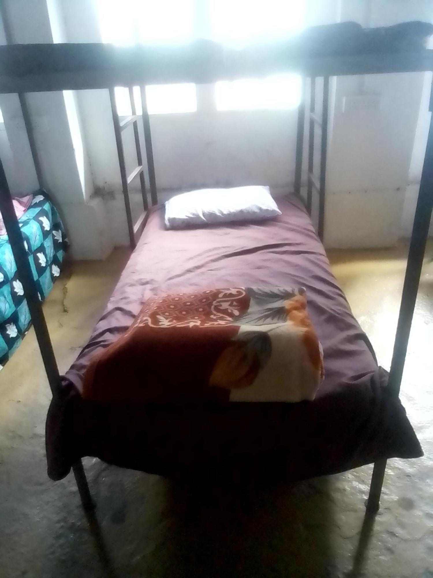 Himalayan Triund Trekking And Mountain View Hostel Dharamszala Kültér fotó