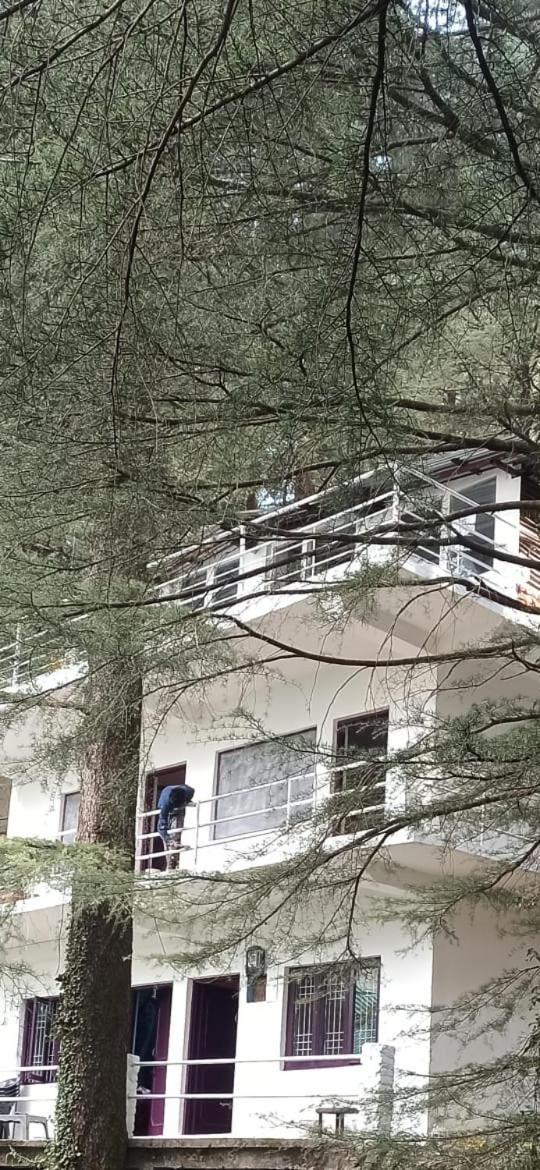 Himalayan Triund Trekking And Mountain View Hostel Dharamszala Kültér fotó